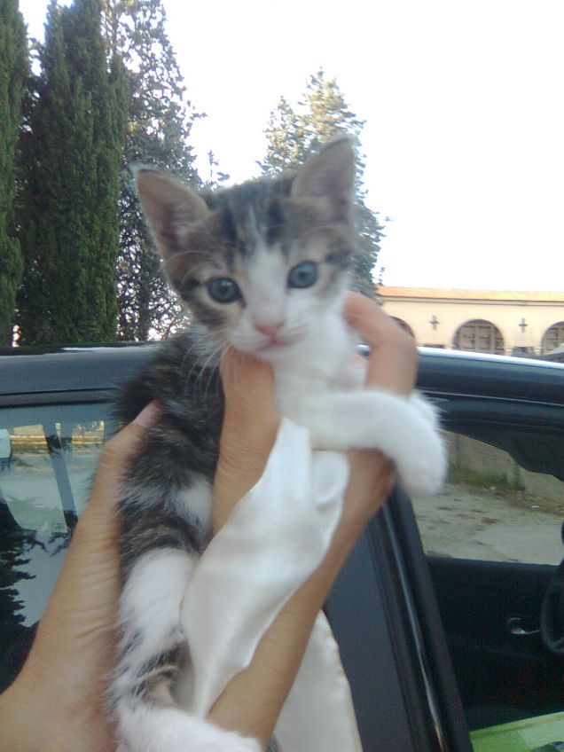 Stellina Da Cucciola