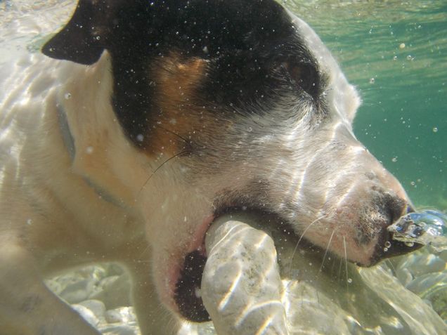 vieni qui! maledetto sasso!
