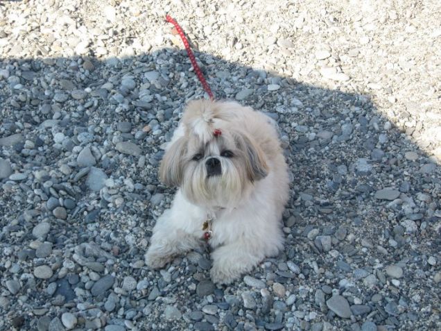 Frena! Che voglio andare al mare!