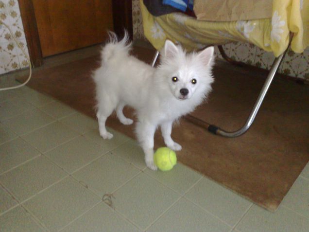 Il suo gioco preferito!!!