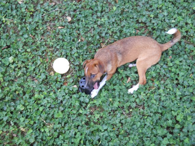 Amante del giardinaggio...o no?