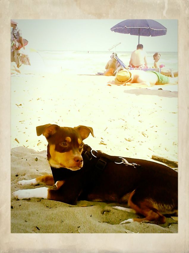 Thiago,relax al mare...