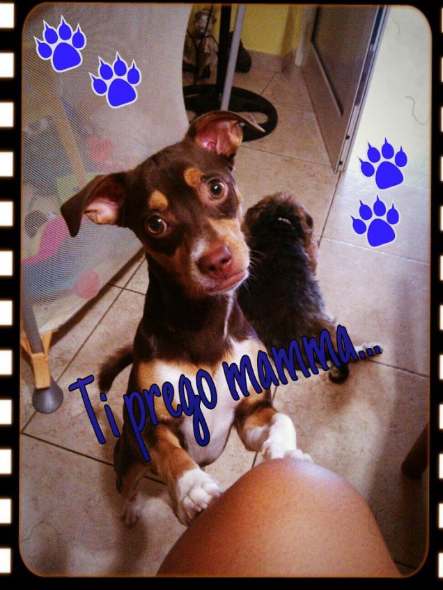 ...per favore... *_*