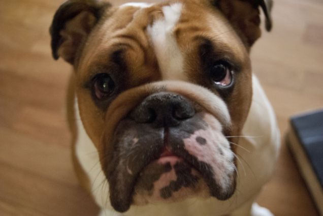 non ti faccio pena ?