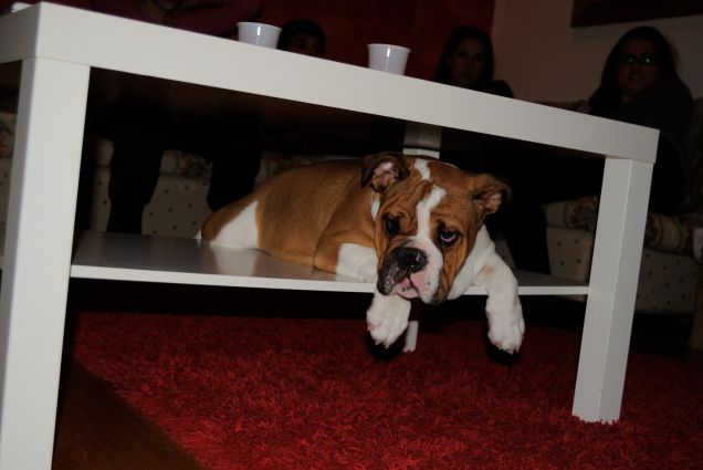 Matilde a casa di amici