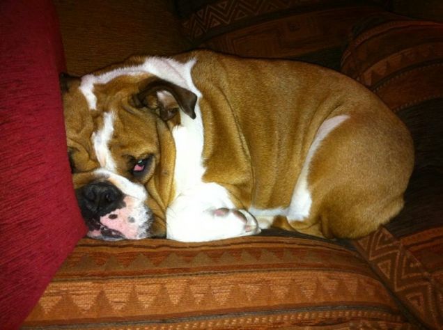 Che sonno che ho !!!