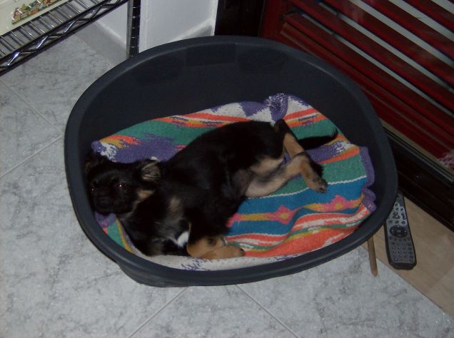 Voglio dormireeeeeee 