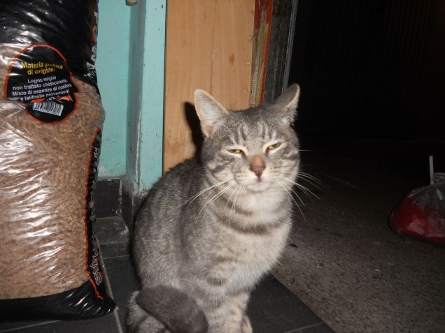 Se mi fai un'altra foto ti ammazzo!