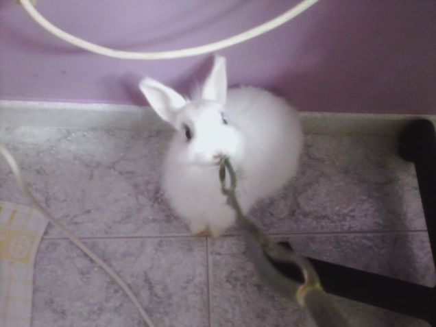 Butta giù questo coso!!