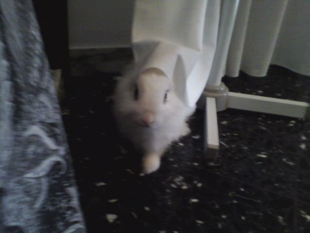 Sono pronto per sfilare!! 