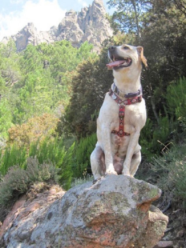 Linda, la regina delle montagne!