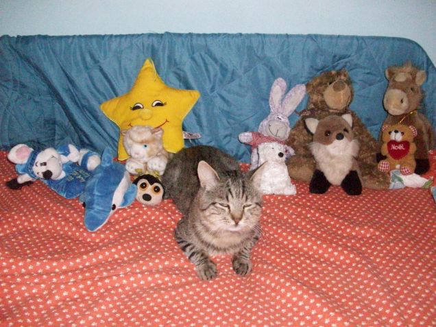 MACCHIA con i PELUCHE