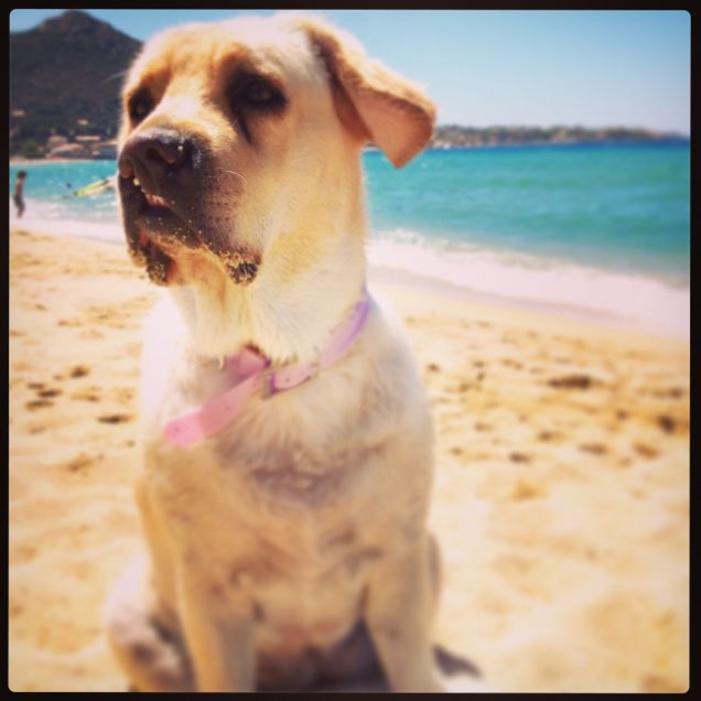 La lina, una grande!