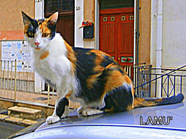 lamù...paladina della giustizia ! ehehheh