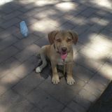 WILLY *.*