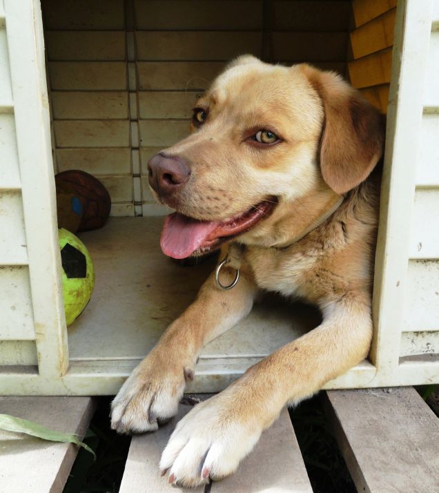 WILLY A 10 MESI.. QNT'è  SORRIDENTE *.* 