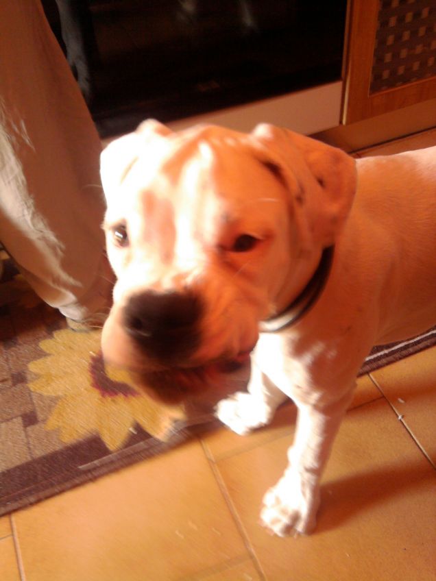 oggi sono arrabbiata