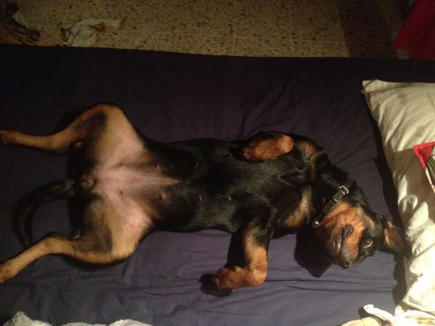 etienne (che stress il viaggio)