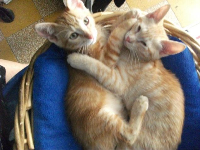 Dobbiamo stare vicini vicini...