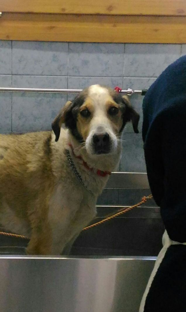 Ah, un bel bagnetto...