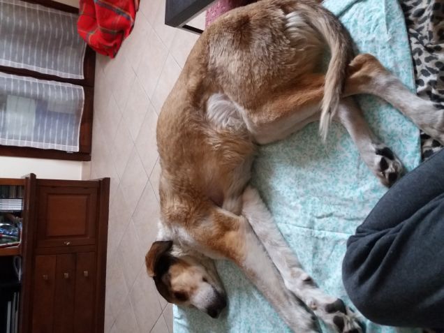 Riposino sul divano...