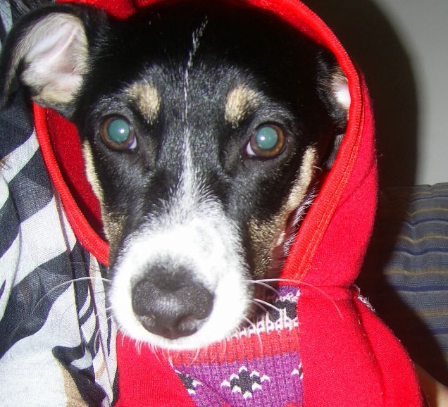 La mia Babba Natale Pimpi:)