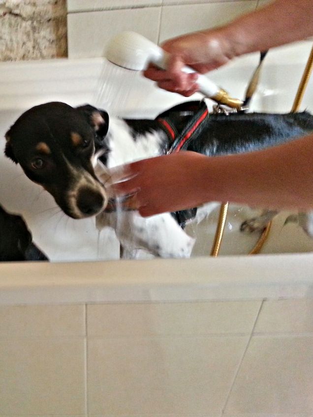 Pimpi e il bagnetto:)