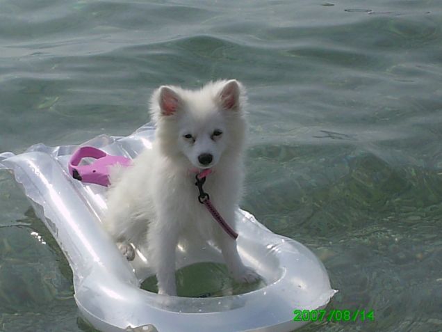 Maia e la sua prima vacanza