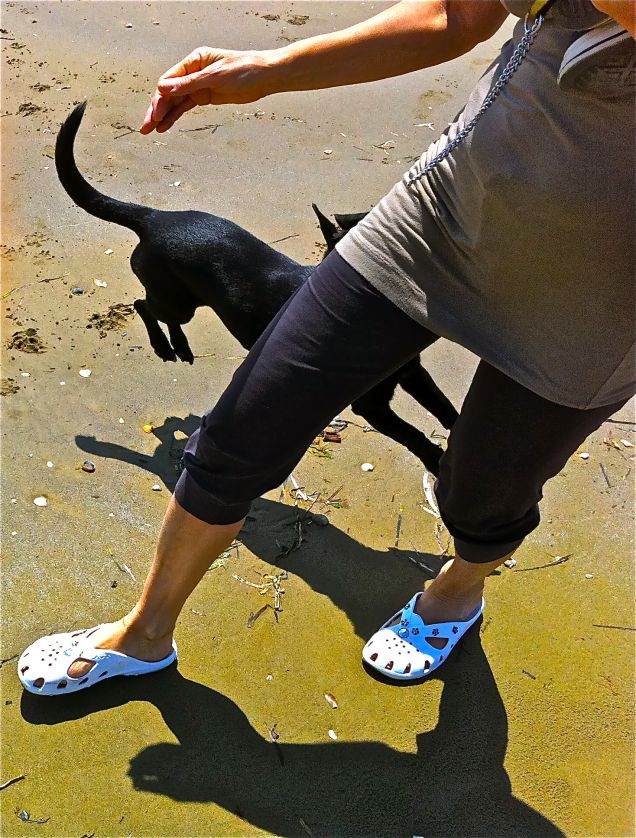 Felicità è la prima corsa sulla spiaggia