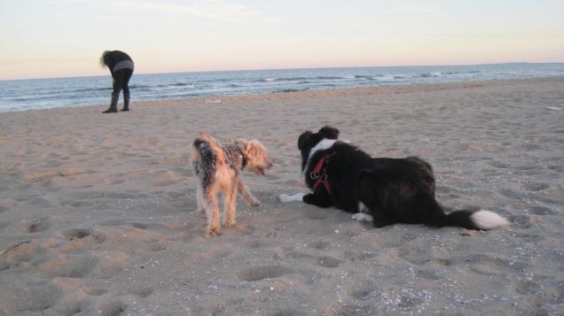 i due amici guardano il tramonto...