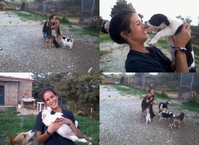 Agli animali manca solo la parola; eppure io non ho mai visto animali fraintendersi, solo uomini.