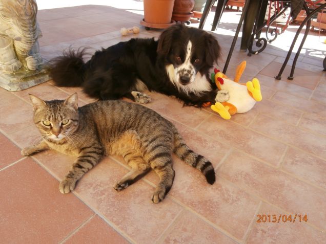 Puccio, Chicco e il peluche