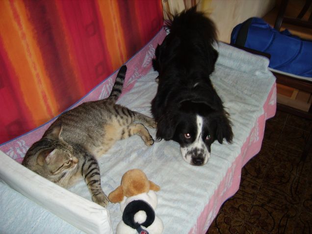 puccio e il suo amico chicco