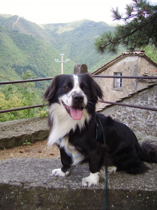 puccio in montagna