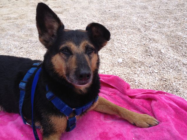 IL MIO BIMBO IN SPIAGGIA