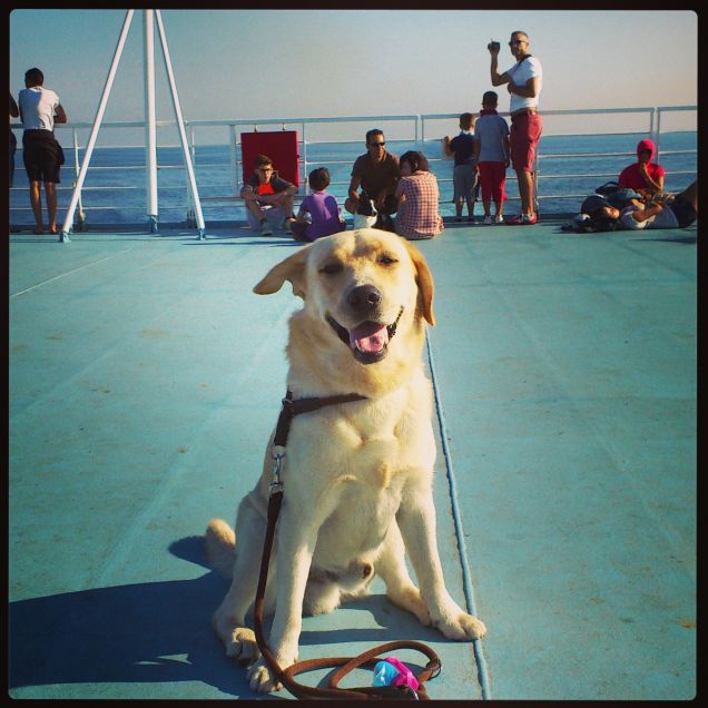 Levante a passeggio sul ponte...
