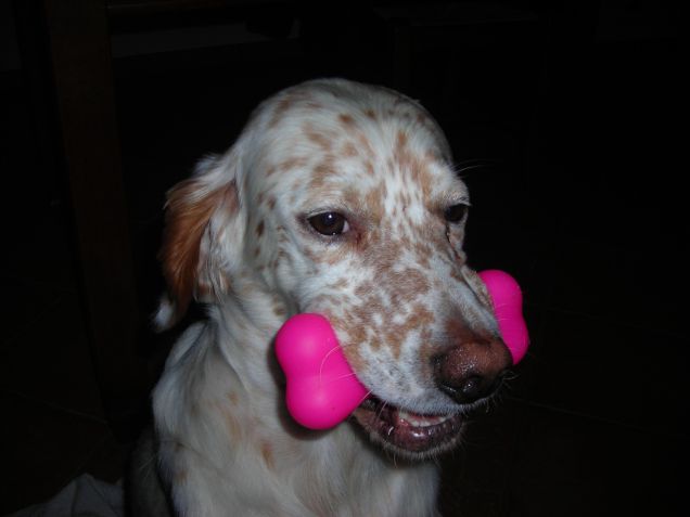 Gas e il suo giochino