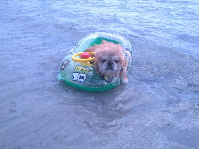 Cookie sul suo gommoncino 