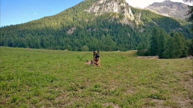 finalmente in montagna