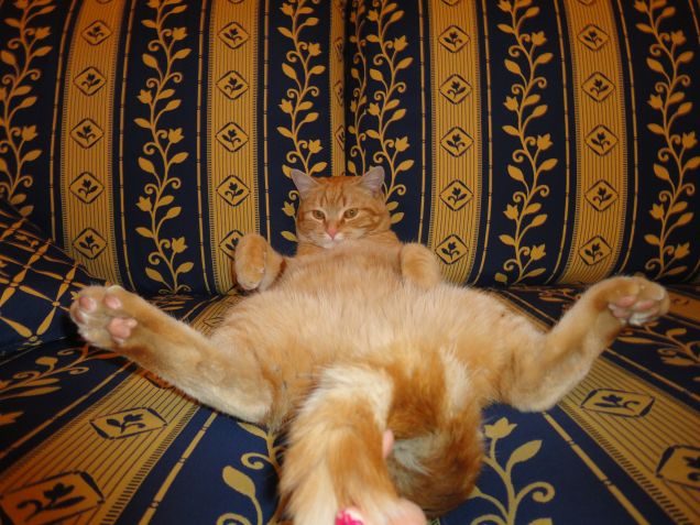 relax, take it easy!