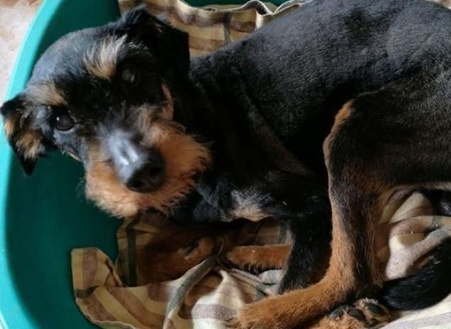 Riposino pomeridiano