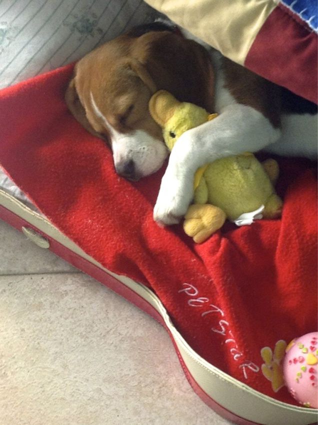 RIPOSO DOPO IL BAGNETTO AL MARE