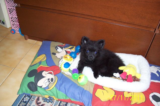 IL PRIMO GIORNO...............