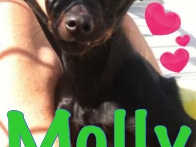 molly