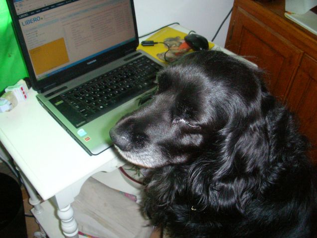 il mio segretario ciarly