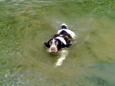 QUELLING DI VALBRANDEGLIO, QUEN PER GLI AMICI