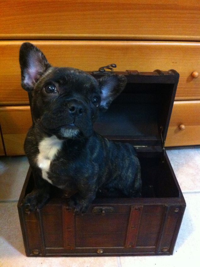 un tesoro tutto da scoprire...