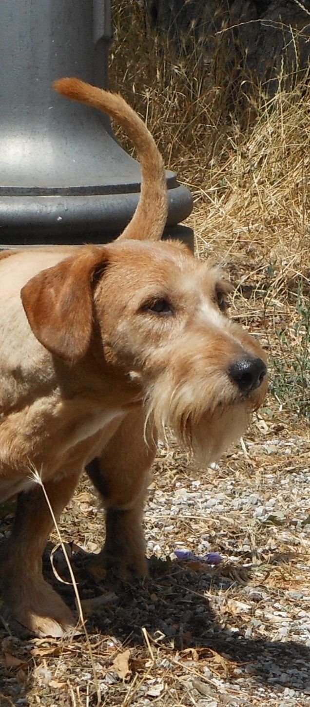 sei bellissimo, amore mio!