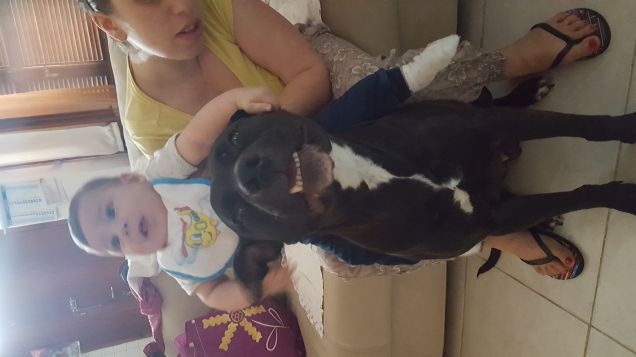 Thor ed il Fratellino