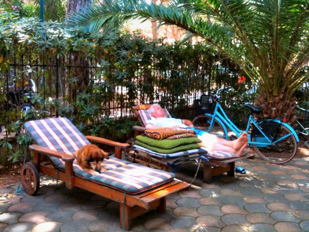 Quando si dice che il cane è uguale al padrone...